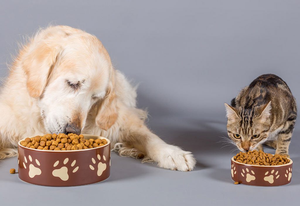 Hond en kat eten Frank’s Pro Gold brokken