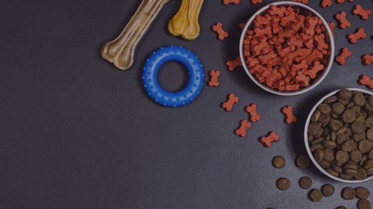 Voerbakken met brokken en hondensnacks op een donkere ondergrond
